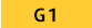 G1